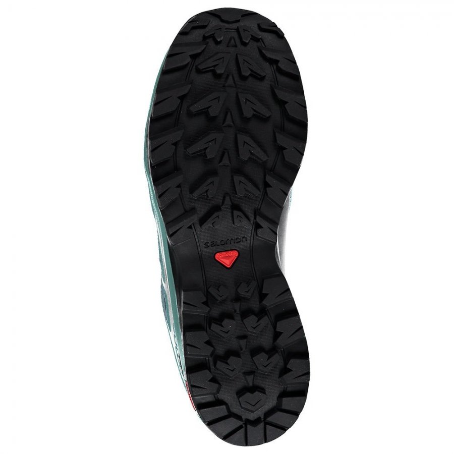 Salomon X Radiant GTX W Hydro Trellis
